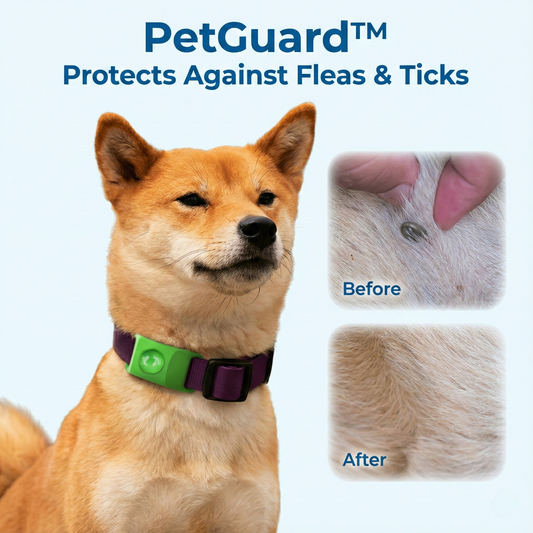 PetGuard™ Insect Shield 12-Month Protection