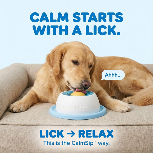 CalmSip™ Lick & Treat Bowl